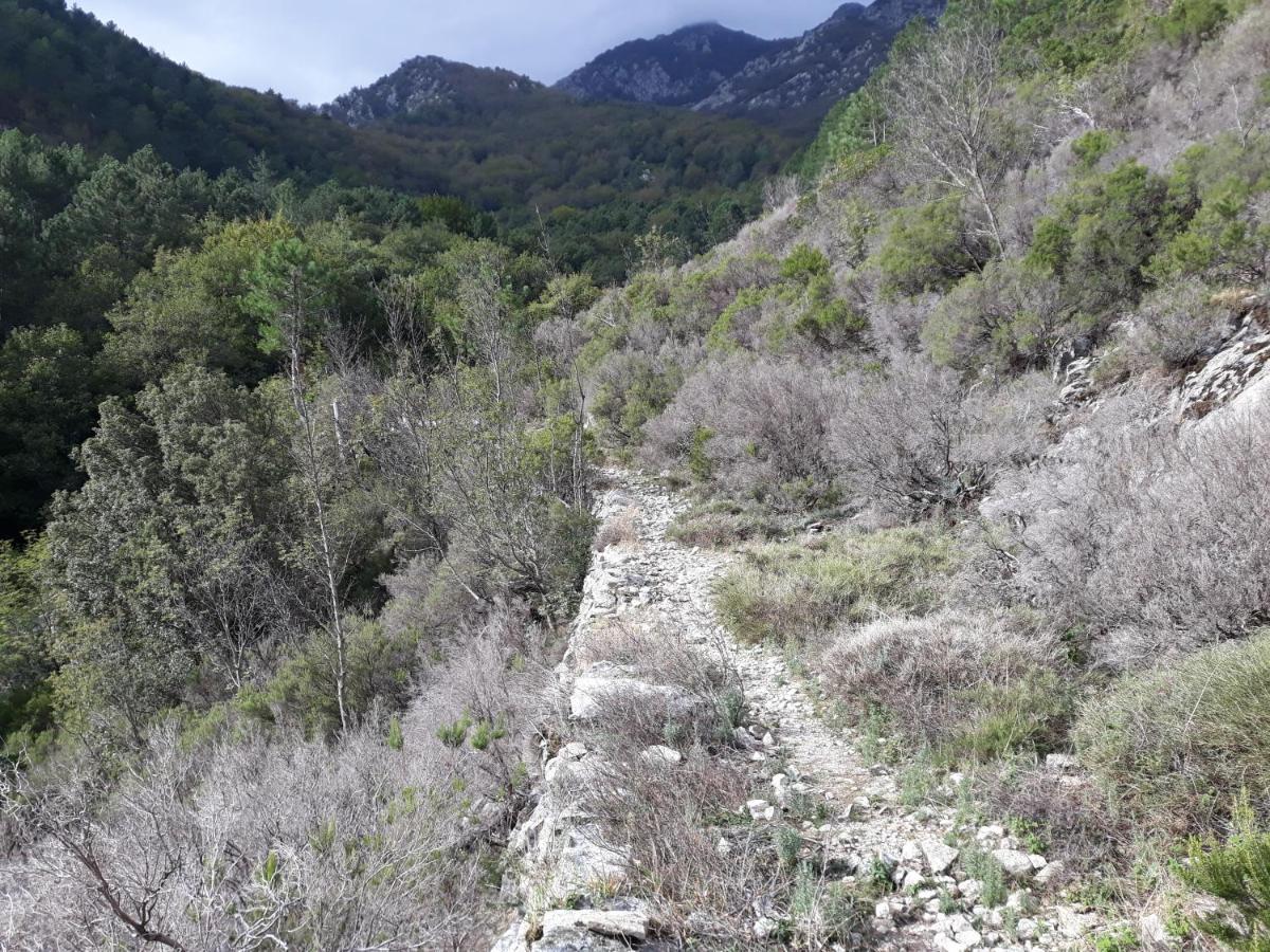 Villa Jolie Dans Un Endroit Paisible, A 3 Mn De La Et De La Montagne